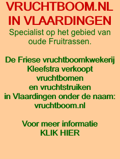 VRUCHTBOOM.NL 